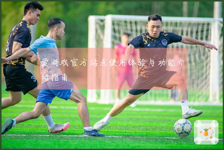爱游戏官方站点使用体验与功能介绍指南